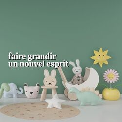 Cover of Faire Grandir un Nouvel Esprit