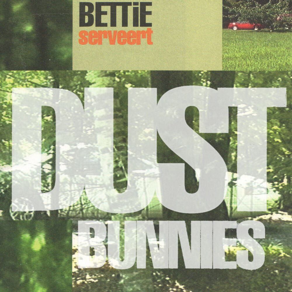 Picture of Dust Bunnies