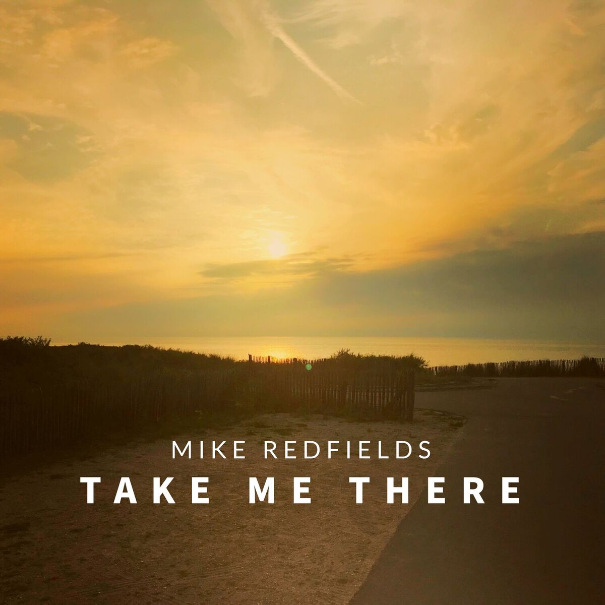 Album cover of Take Me There