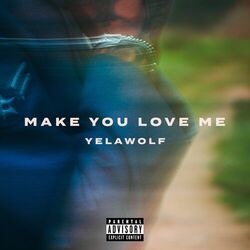 Cover of Make You Love Me