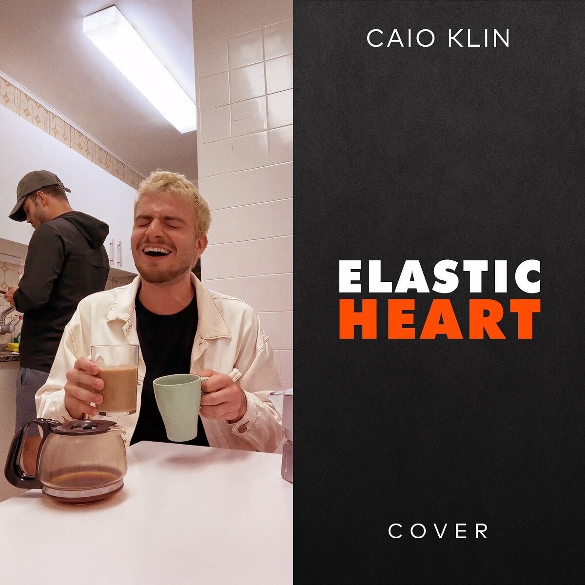Album cover of Elastic Heart