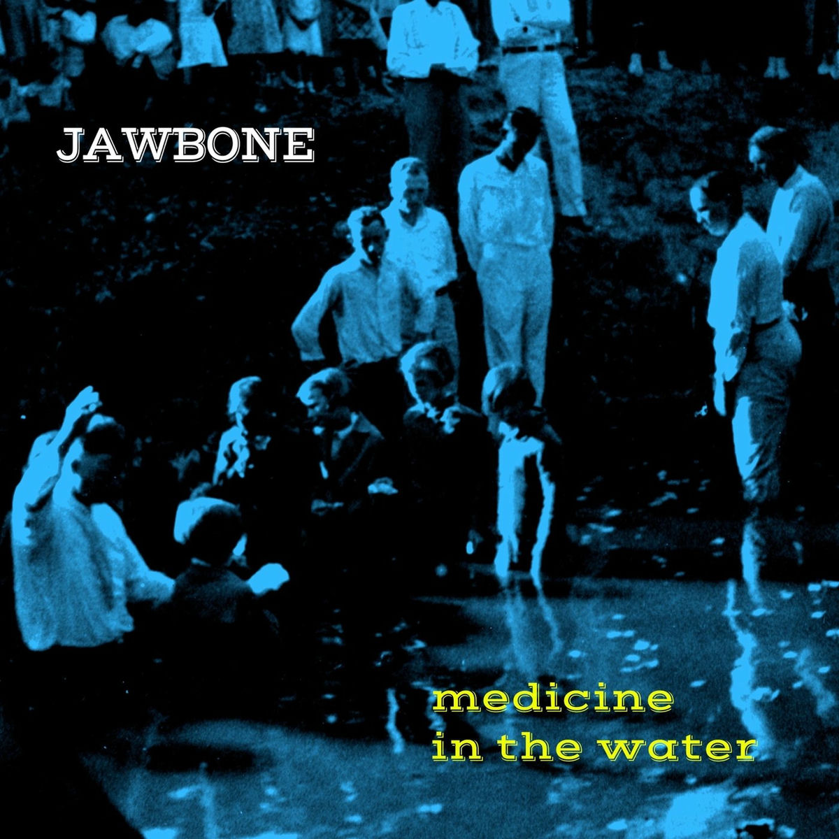 Album cover of Medicine in the Water