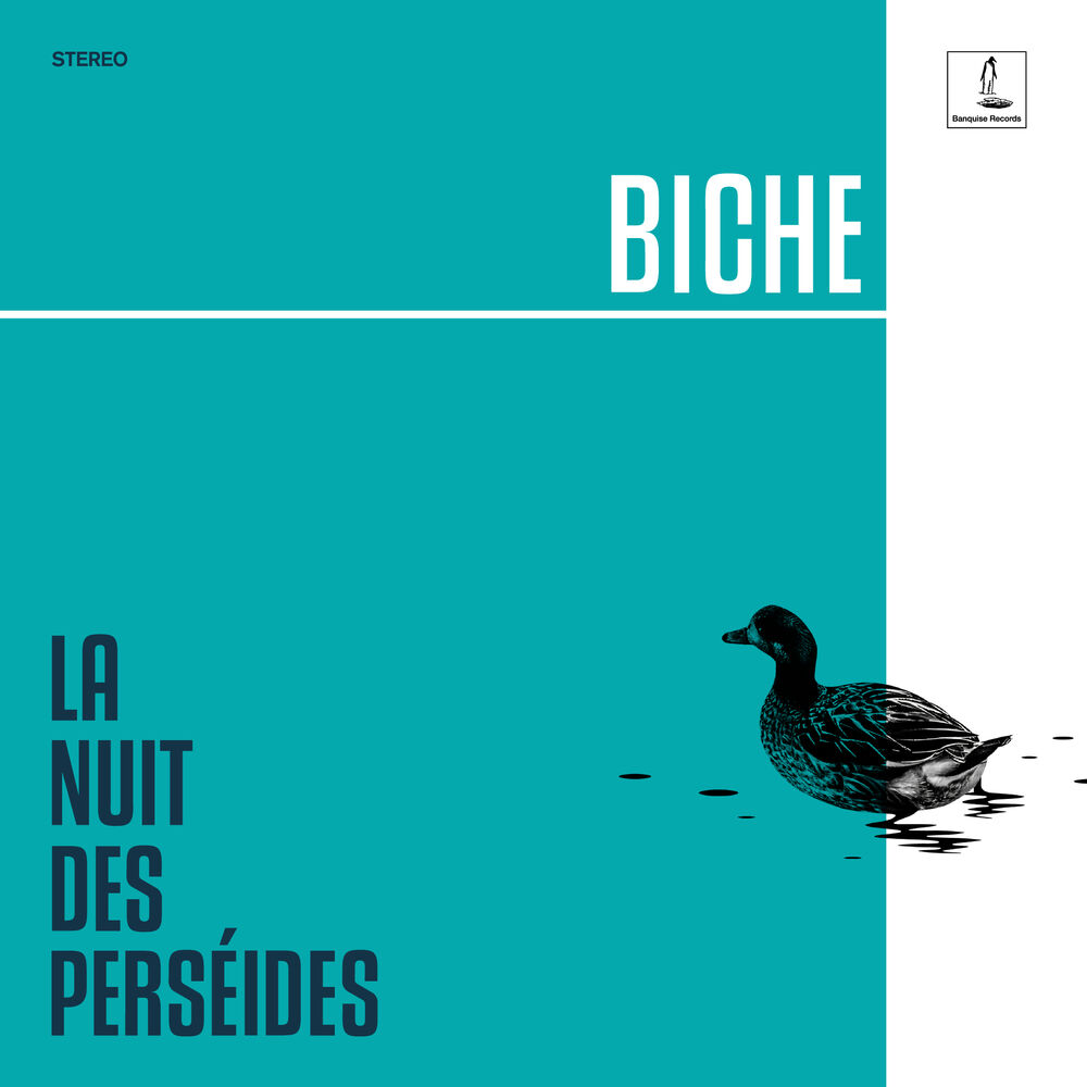 Picture of La Nuit des Perséides