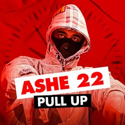Cover of Pull Up