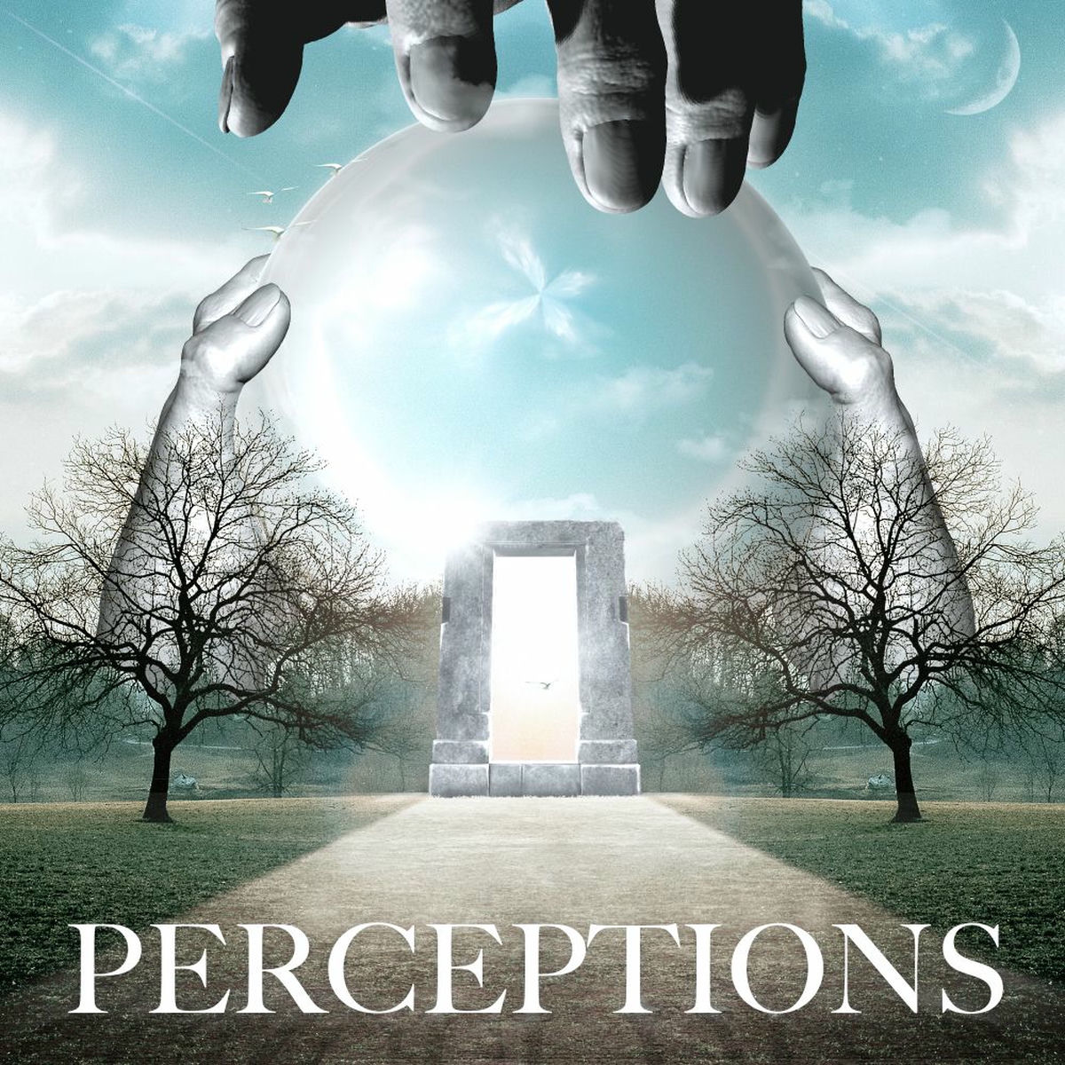 Album cover of Perceptions EP
