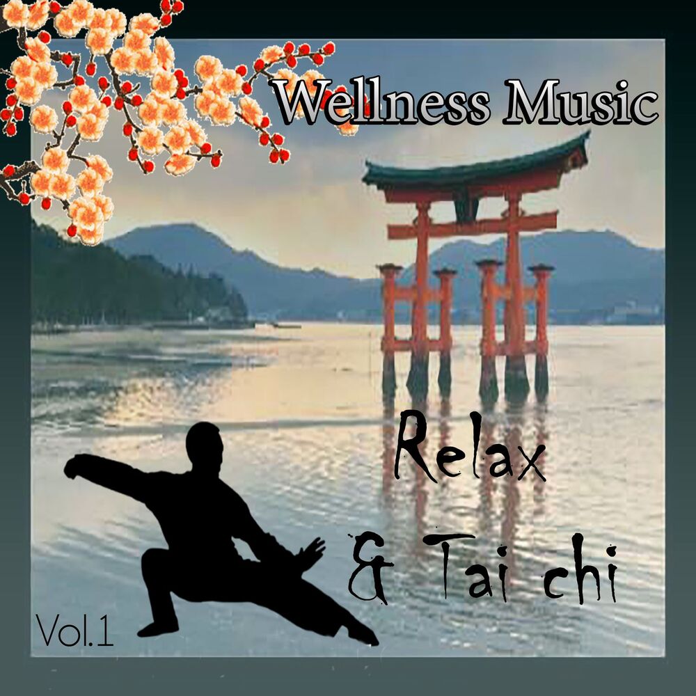 Picture of Wellness Music - Relax & Tai Chi, Vol. 1