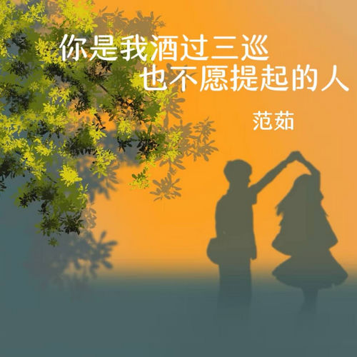 你是我酒过三巡也不愿提起的人