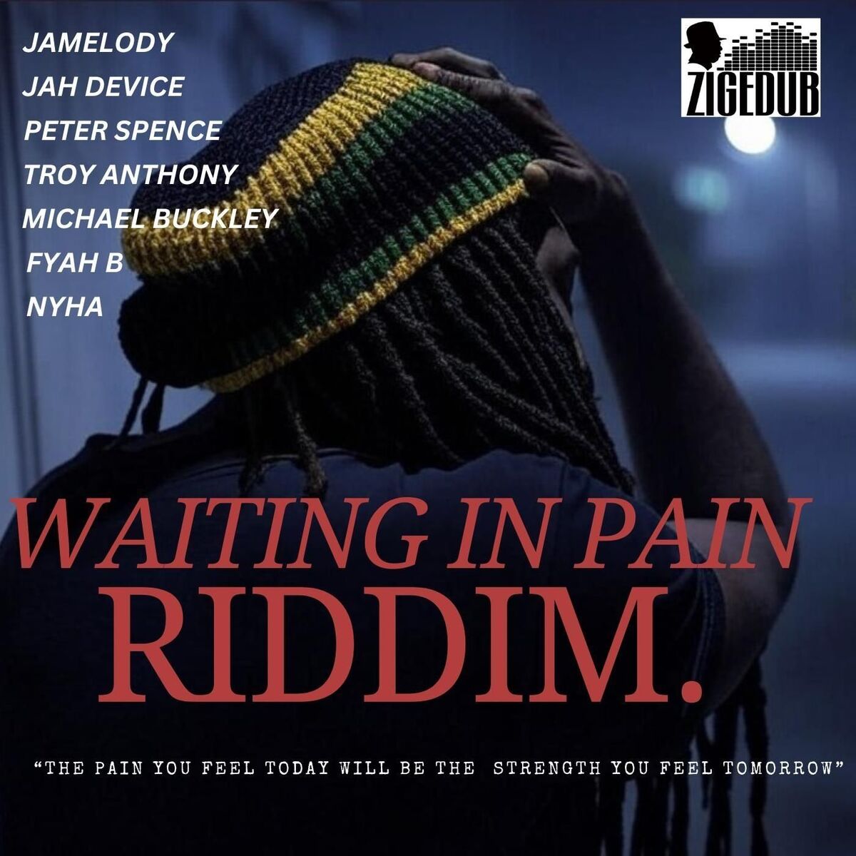 Album cover of Waiting in Pain Riddim