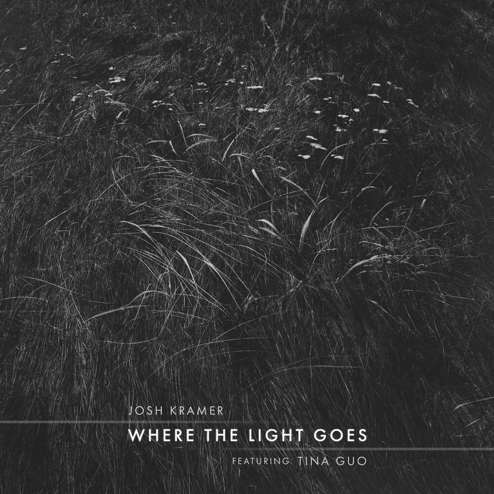 Picture of Where the Light Goes