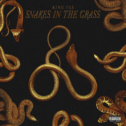 Cover of Snakes in the Grass
