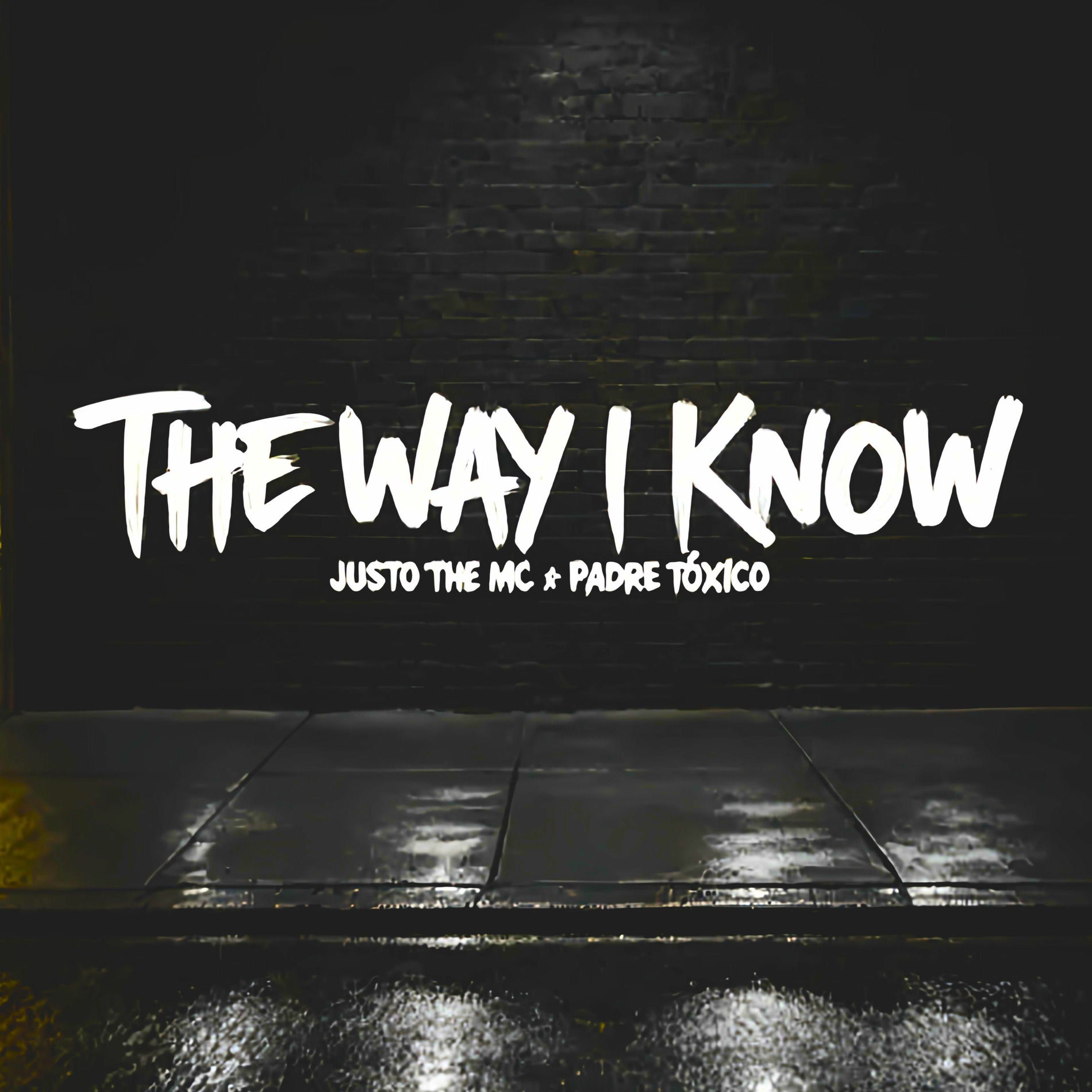 Album cover of The Way I Know