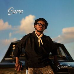Cover of SURE