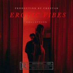 Cover of EROTIC VIBES