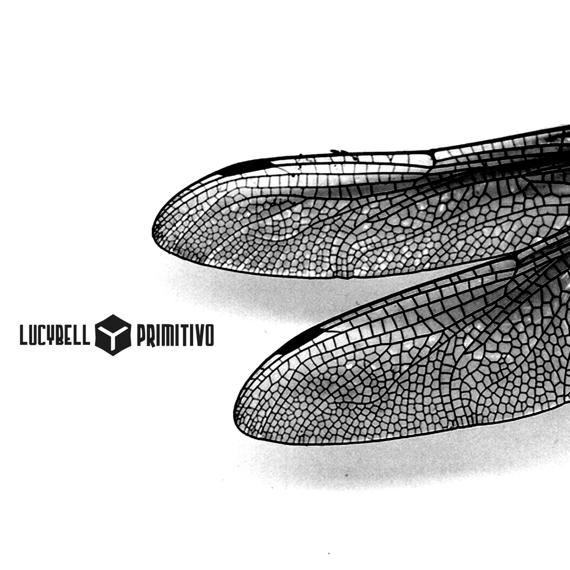 Album cover of Primitivo