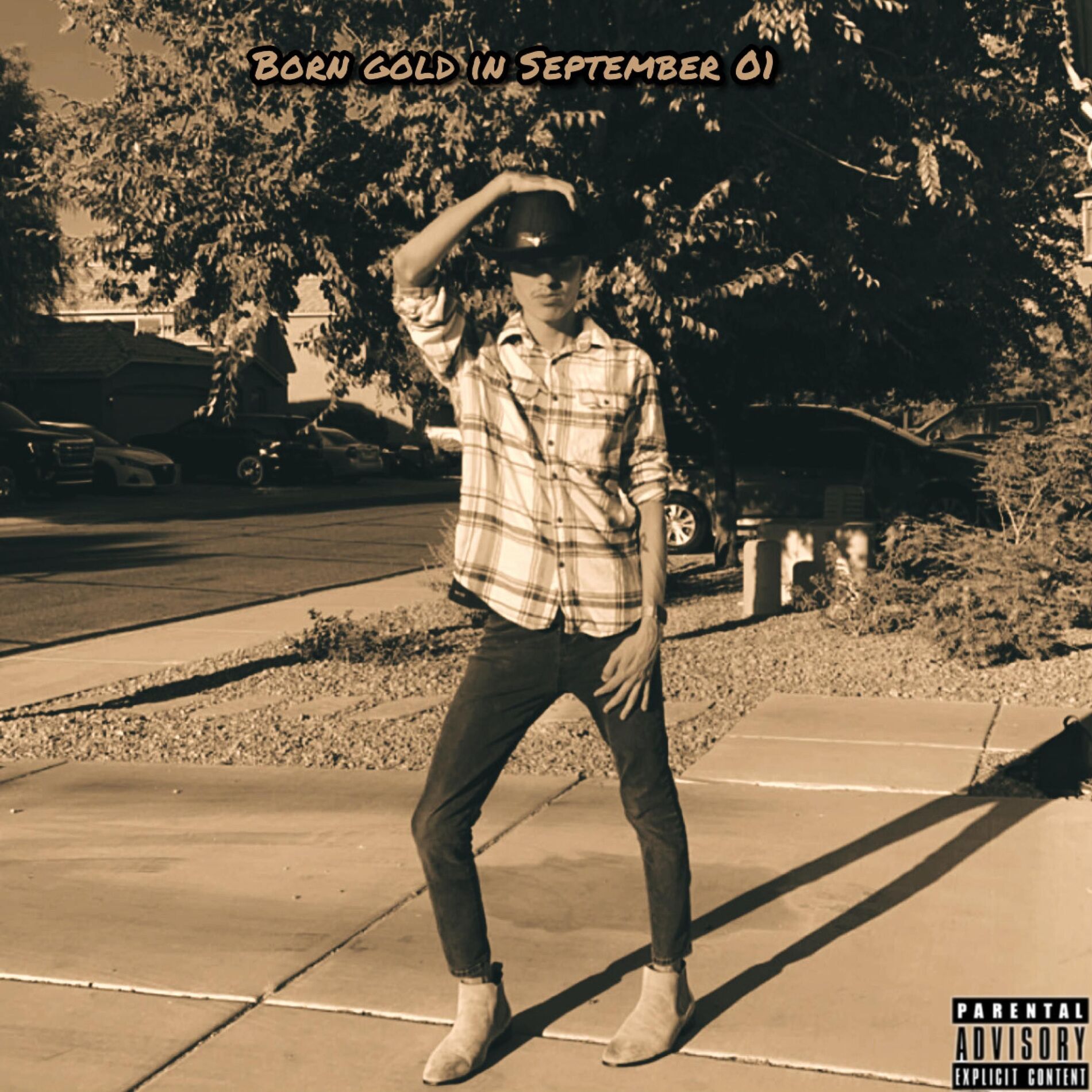 Album cover of Born Gold In September 01(Deluxe)