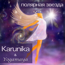 Cover of Полярная звезда