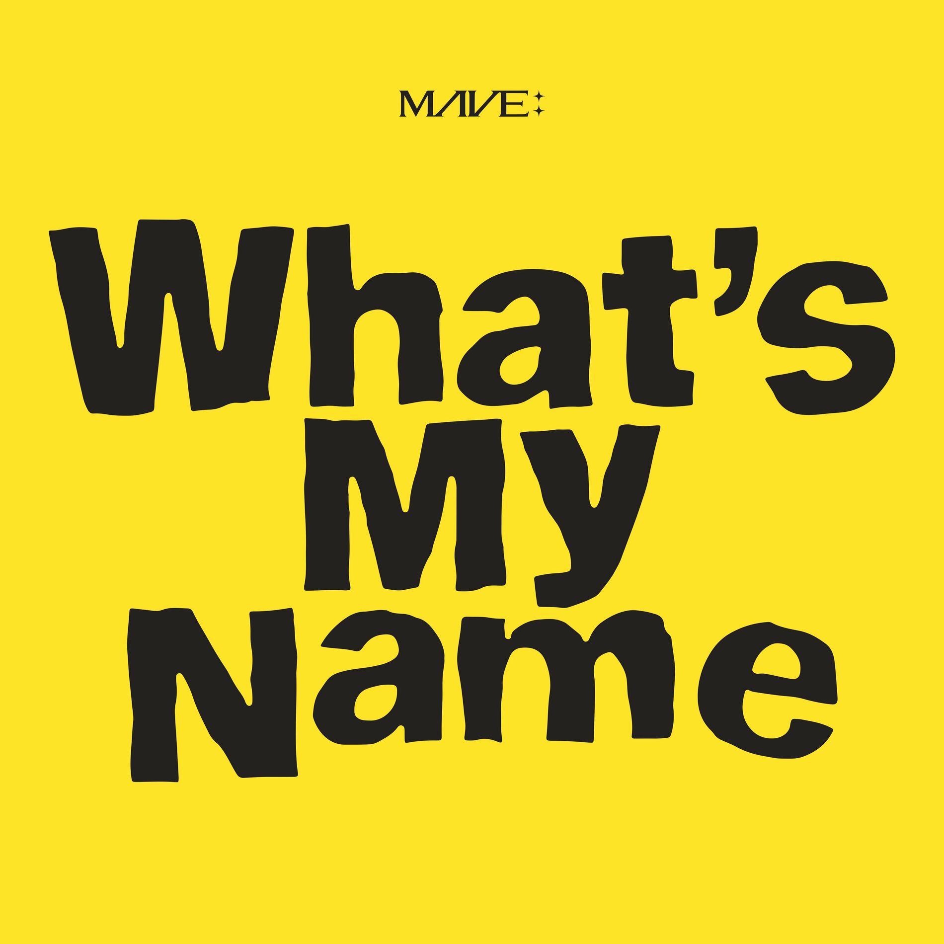 Album cover of What's My Name