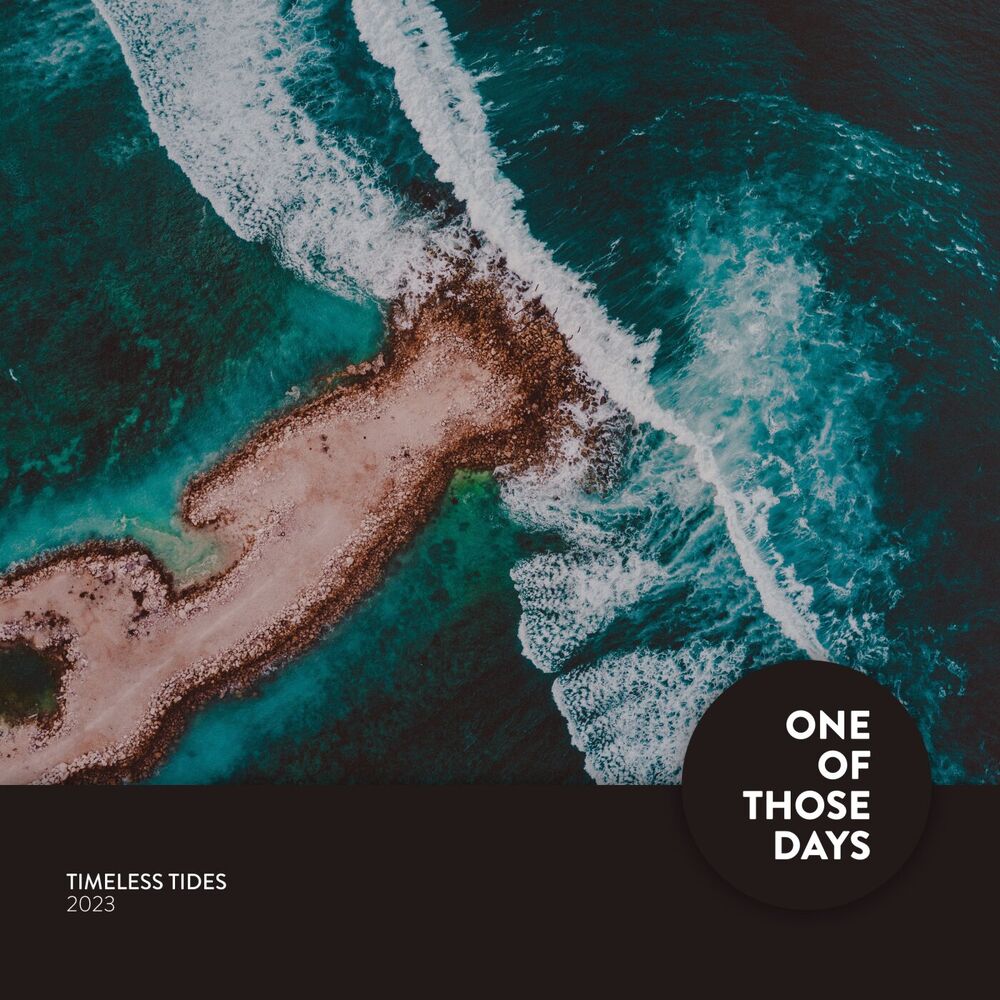 Picture of Timeless Tides 2023