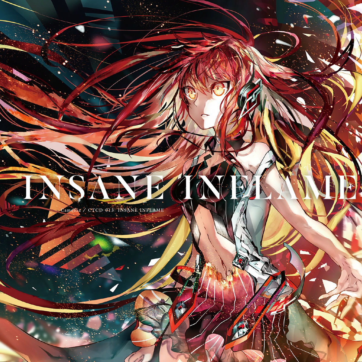 Album cover of INSANE INFLAME
