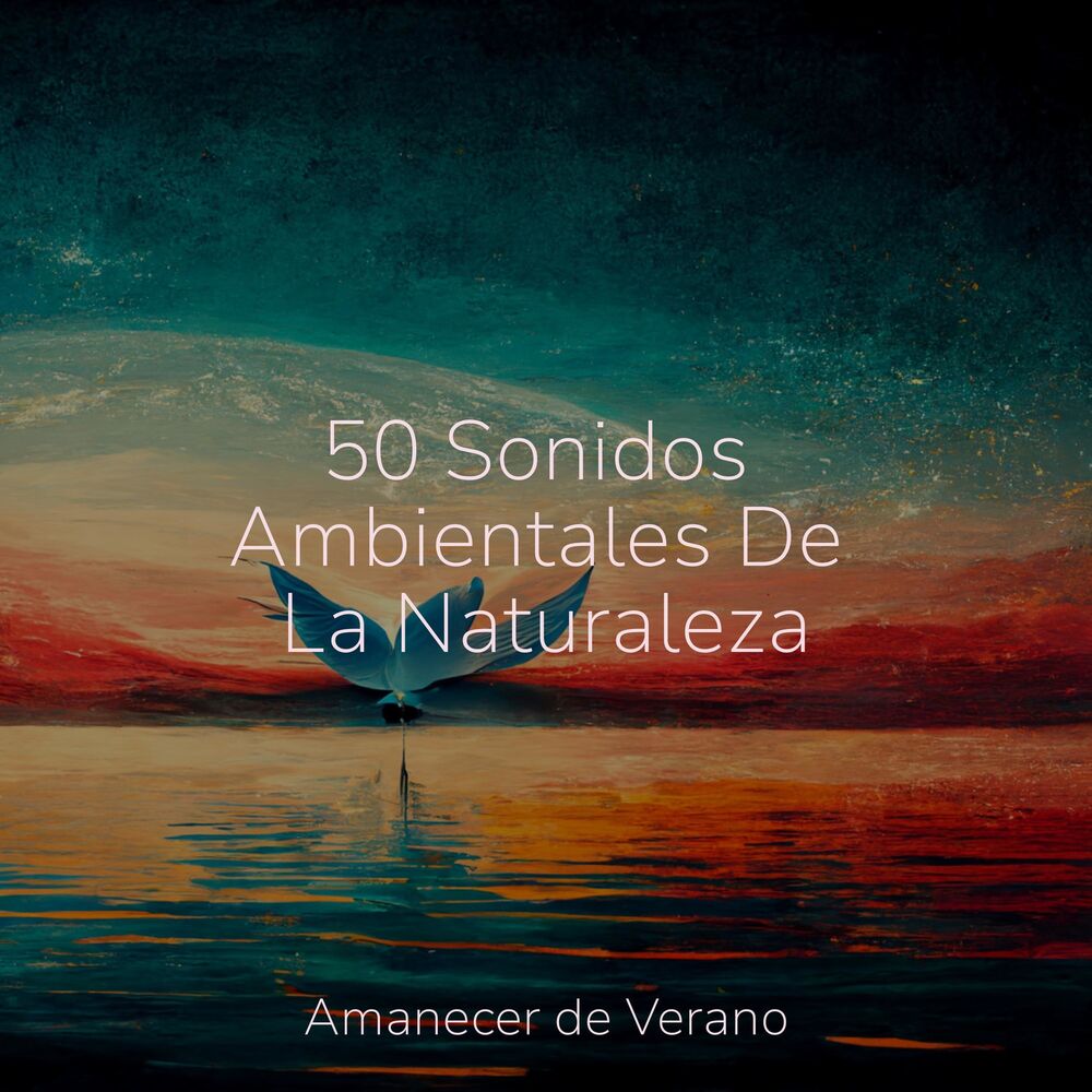 Picture of 50 Sonidos Ambientales De La Naturaleza