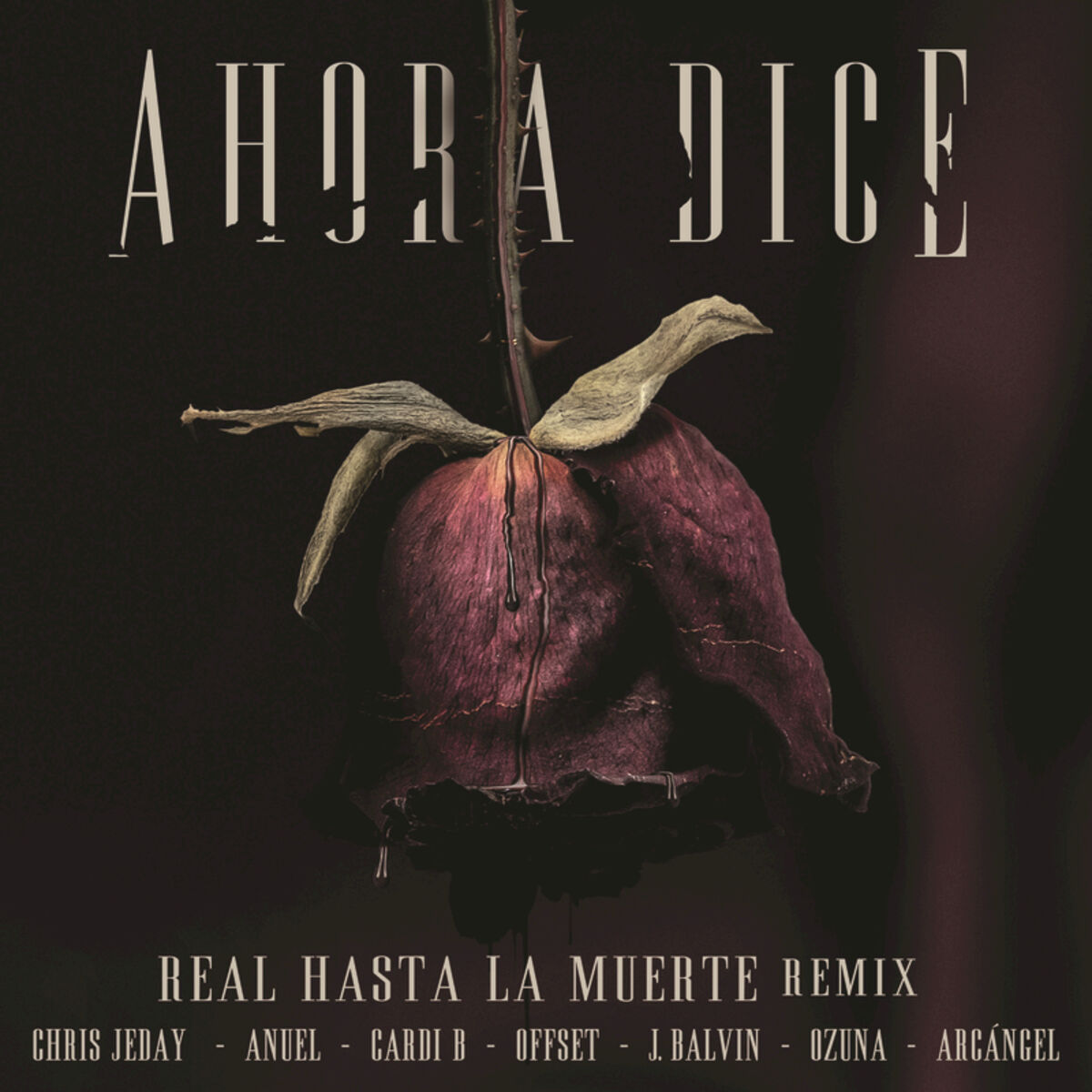 Album cover of Ahora Dice