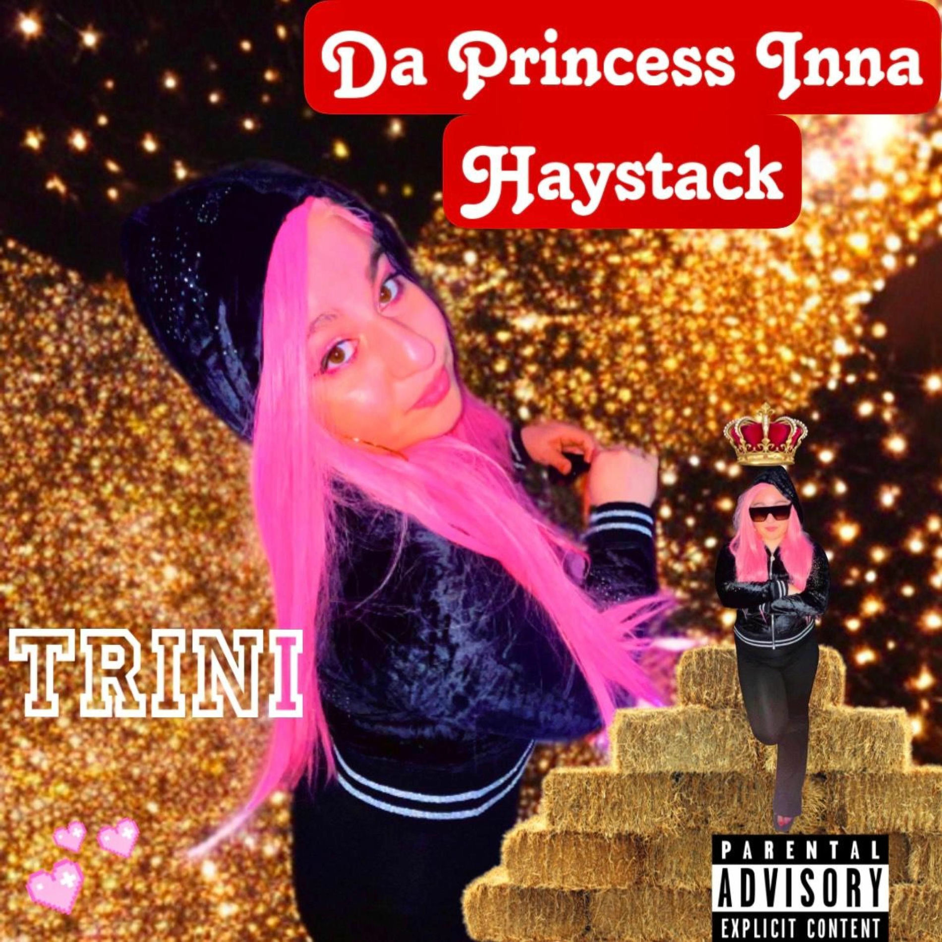 Album cover of Da Princess Inna Haystack