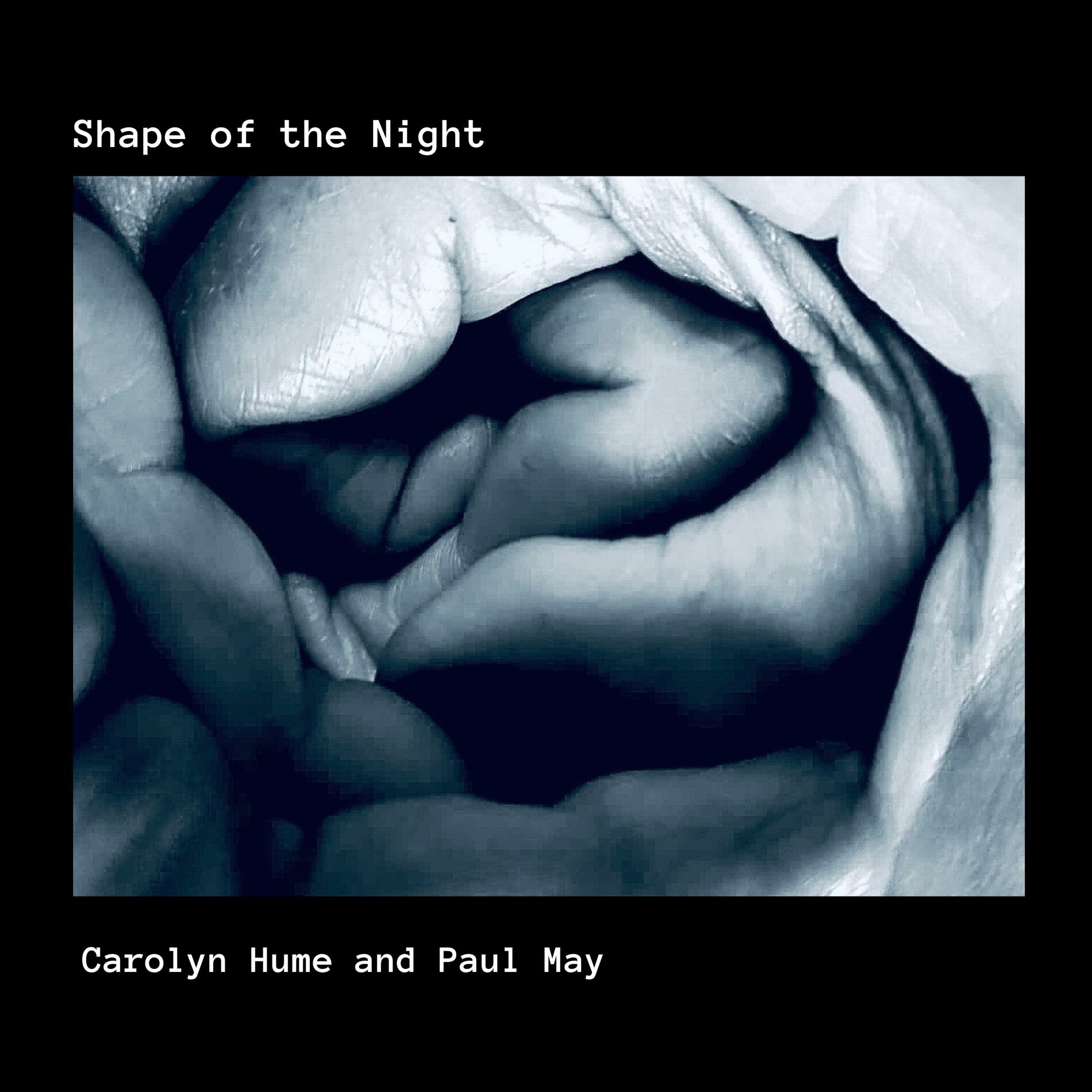Album cover of Shape of the Night