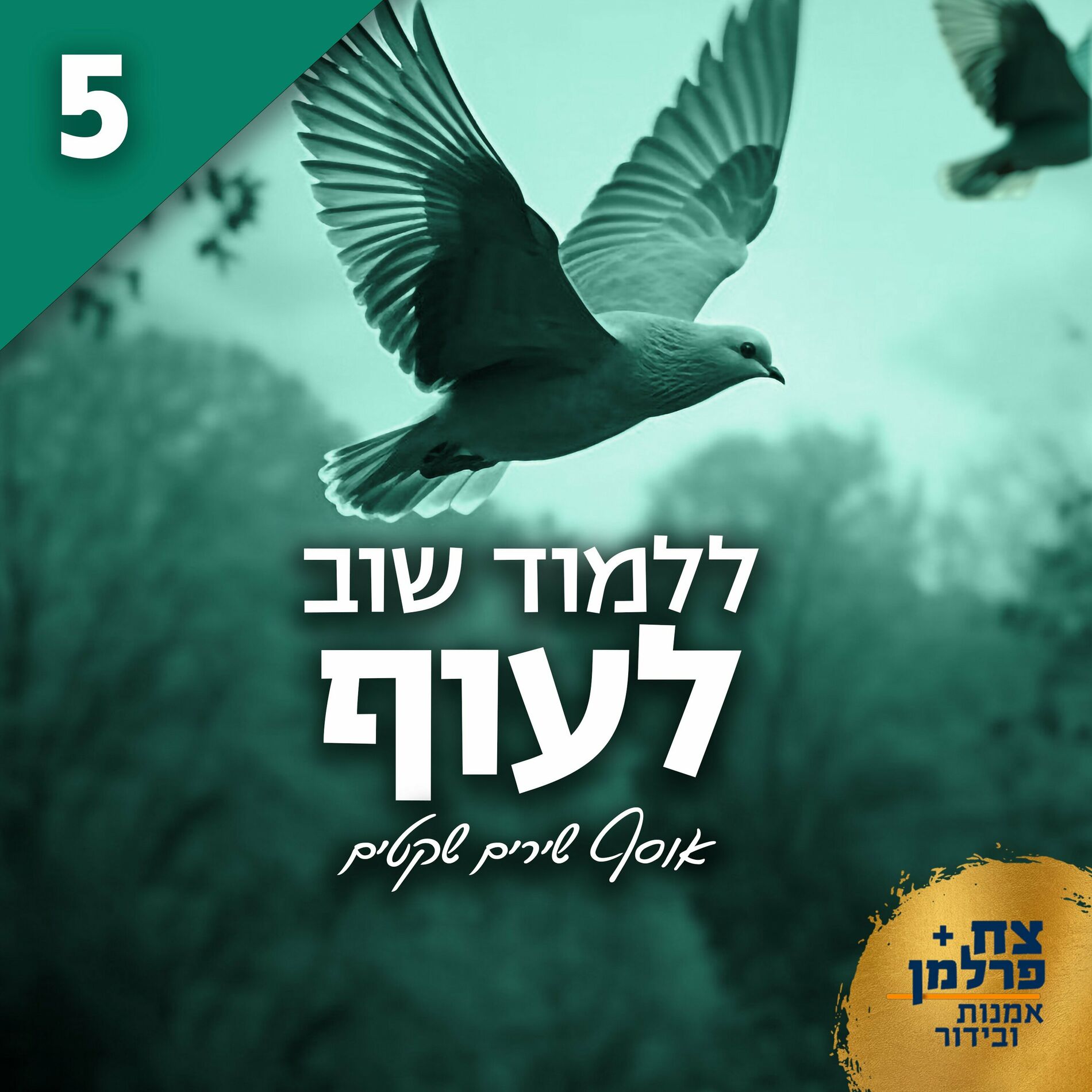 Album cover of ללמוד שוב לעוף 5 (אוסף שירים שקטים)