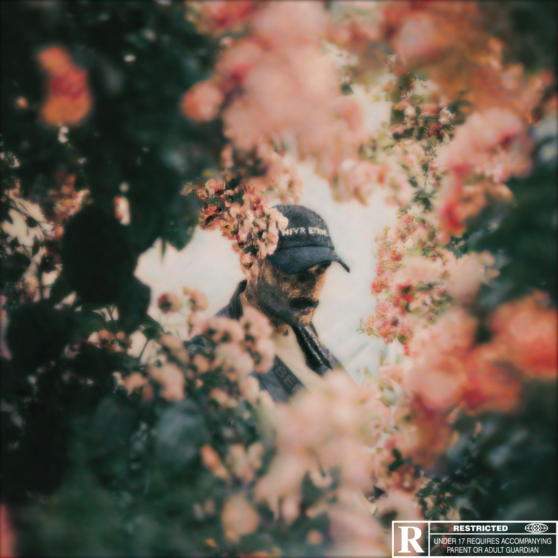 Album cover of HORION
