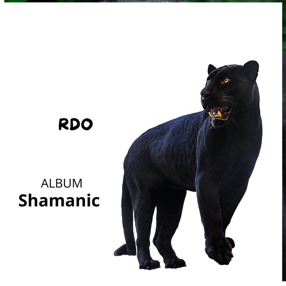 album "Shamanic"