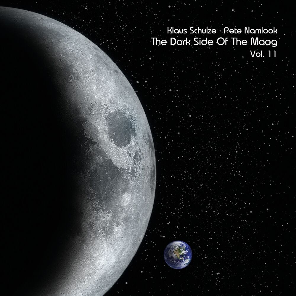Picture of The Dark Side of the Moog, Vol. 11