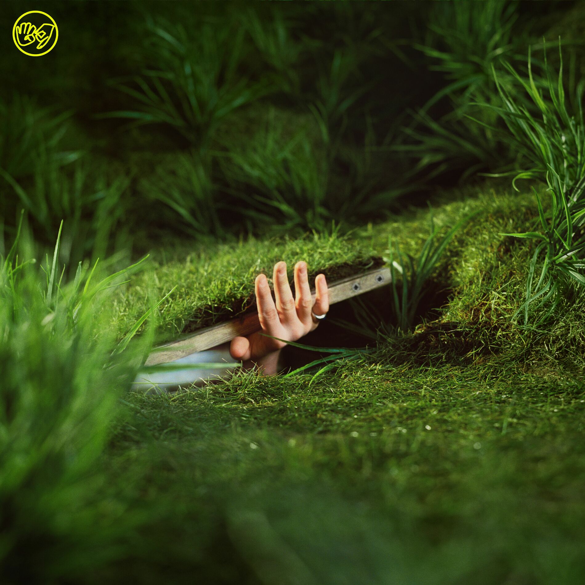 Album cover of Mr Rain