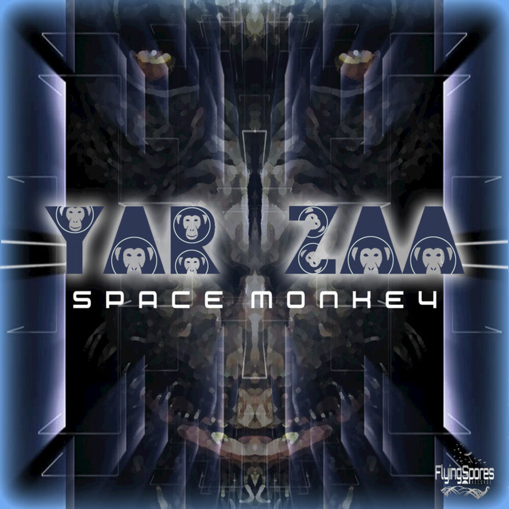 Picture of Space Monkey