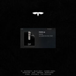 Purge.Zip