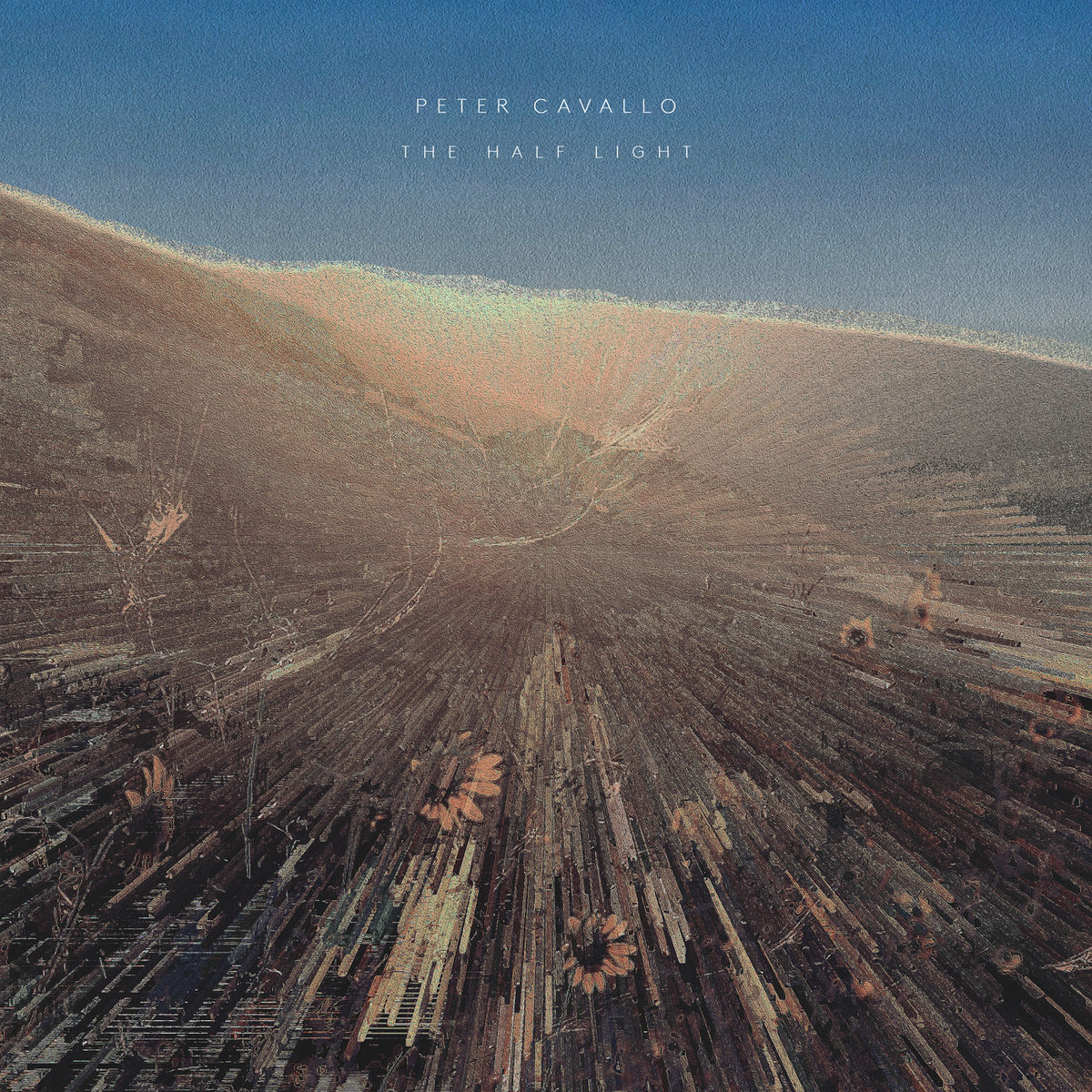 Album cover of Cavallo: The Half Light