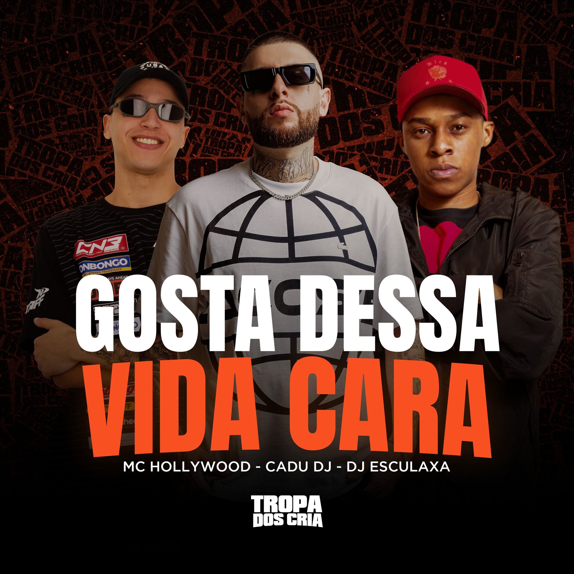Album cover of Gosta Dessa Vida Cara