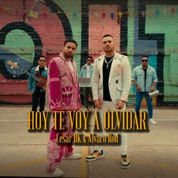 Cover of Hoy Te Voy a Olvidar