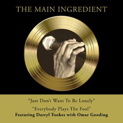Cover of Everybody Plays The Fool / Just Don't Want to be Lonely
