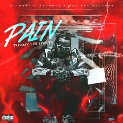 Cover of Pain