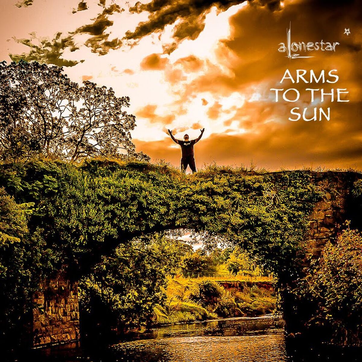 Album cover of Arms to the Sun