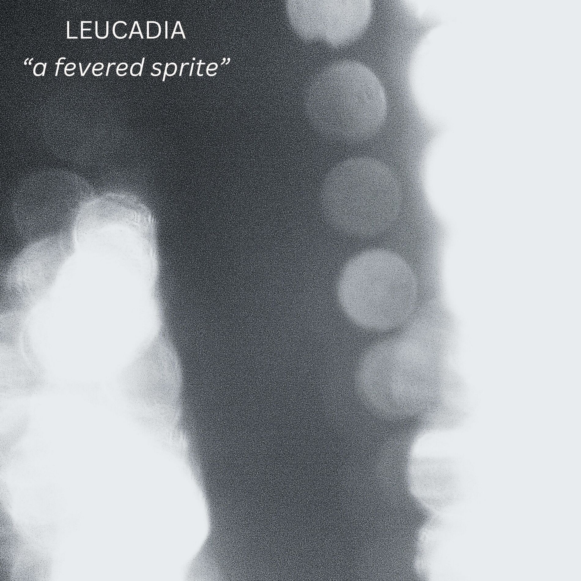 Album cover of a fevered sprite