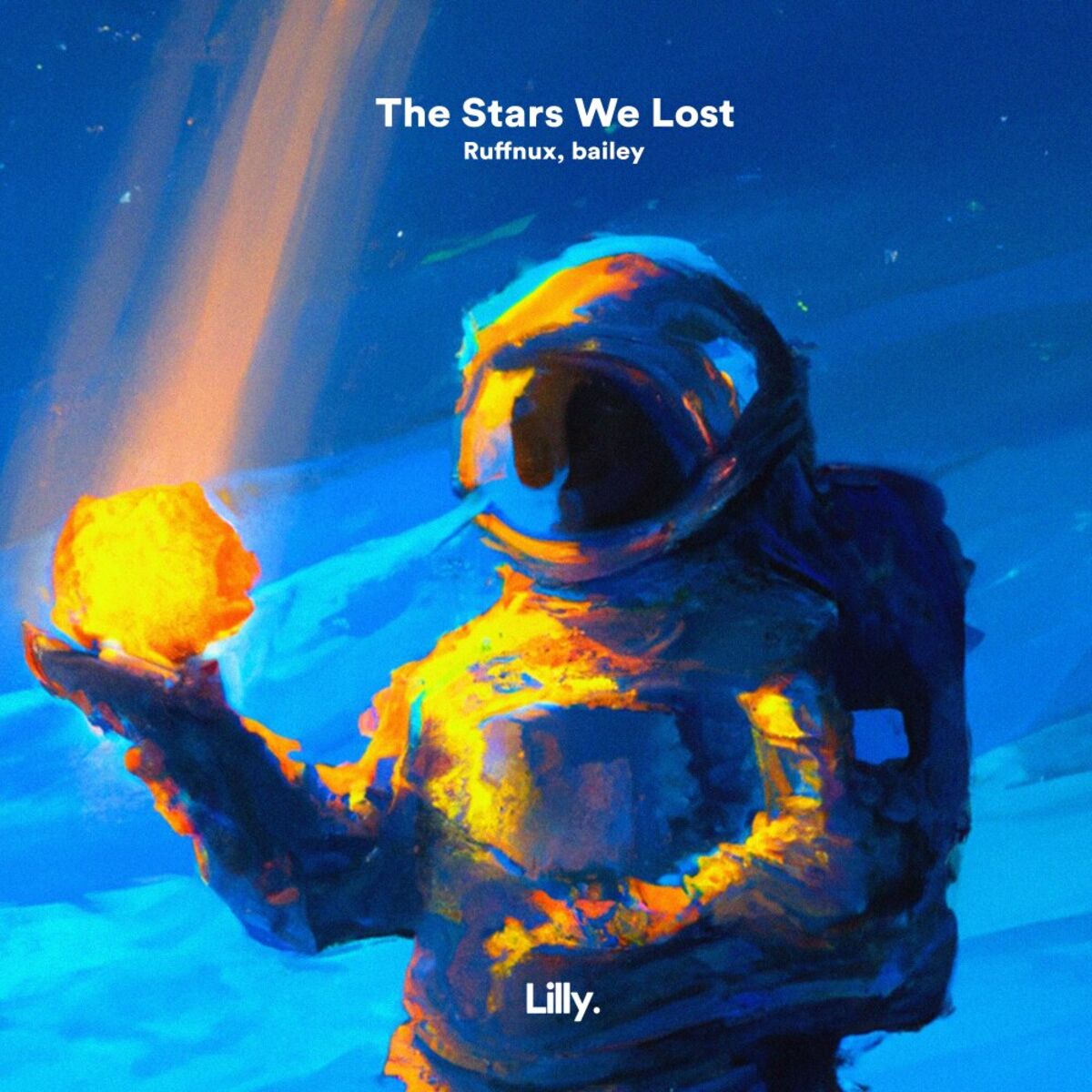 Album cover of The Stars We Lost