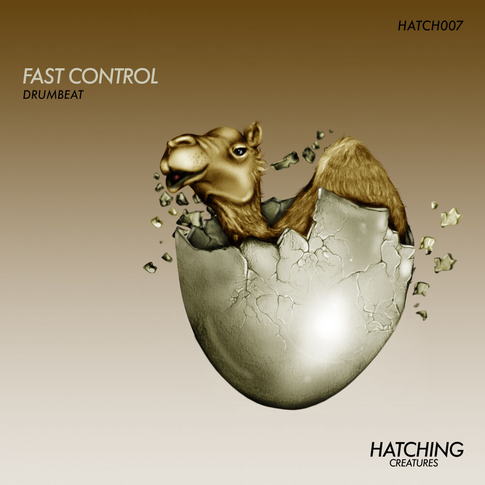 Picture of Fast Control