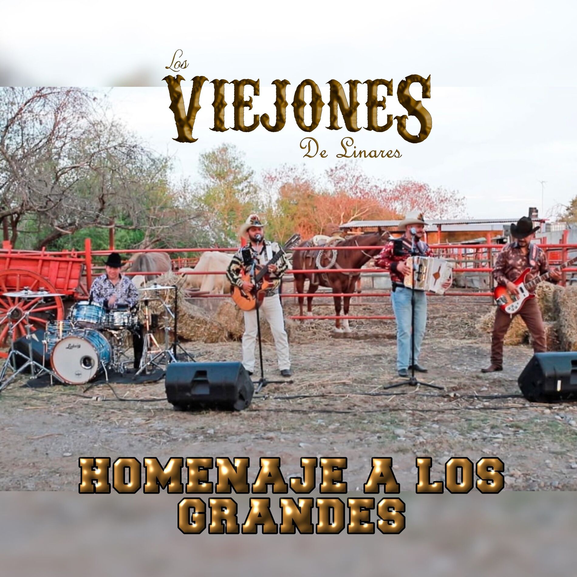 Album cover of Belleza de Cantina