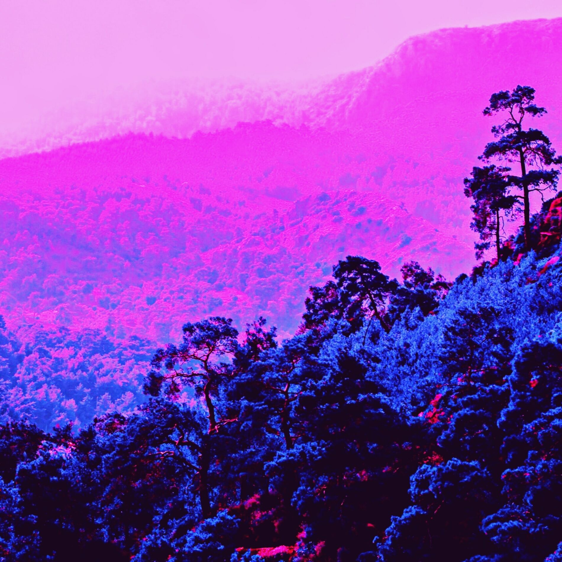 Album cover of Dawn