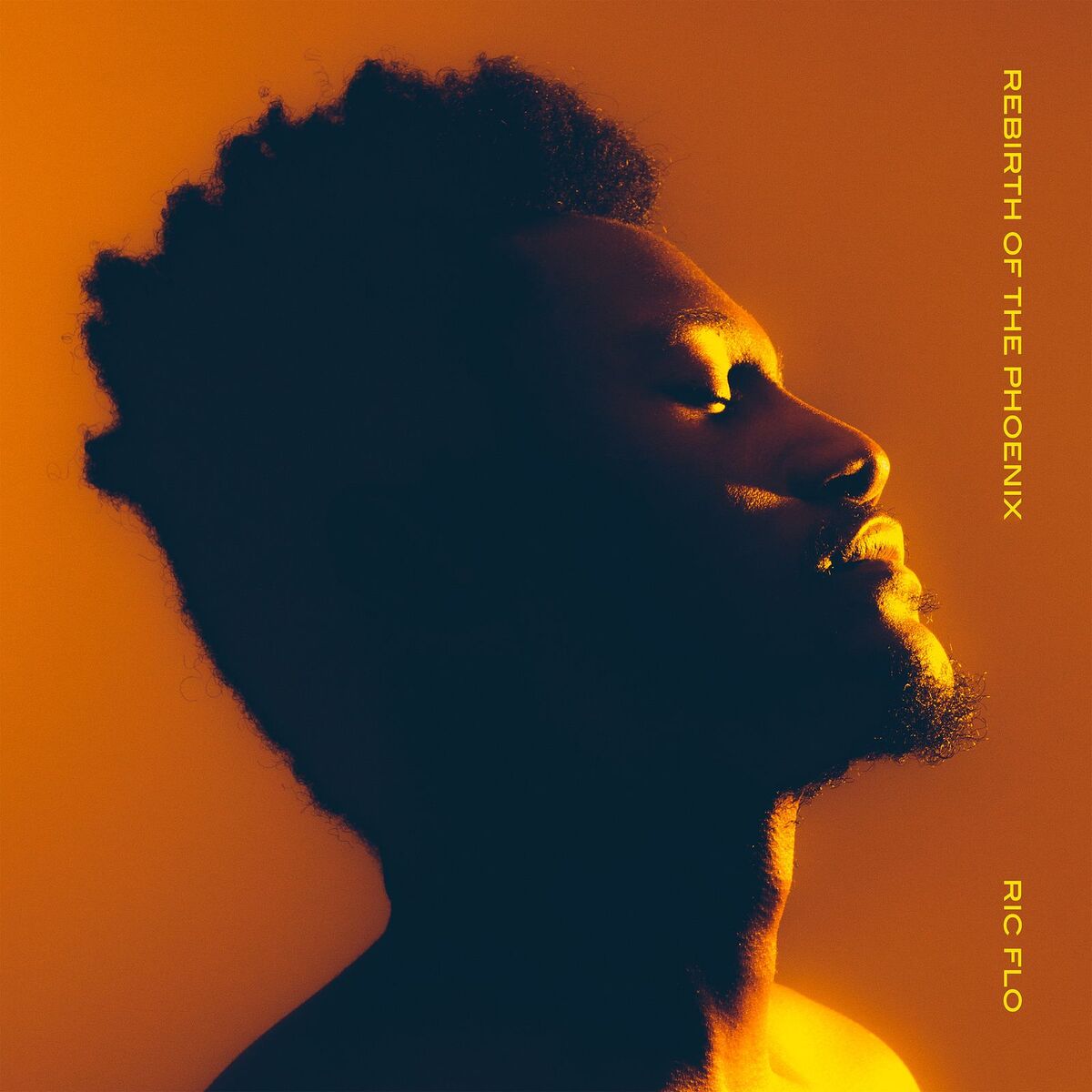 Album cover of Rebirth of the Phoenix