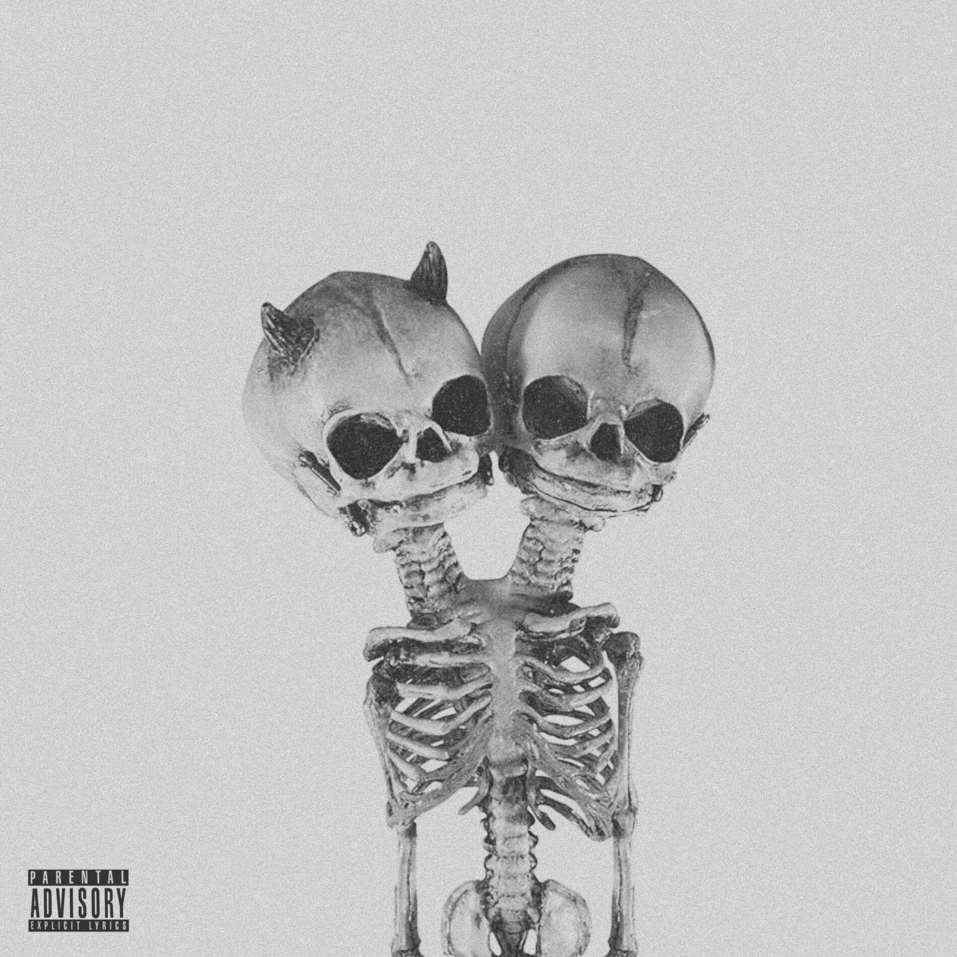 Album cover of EVILTWINSKI
