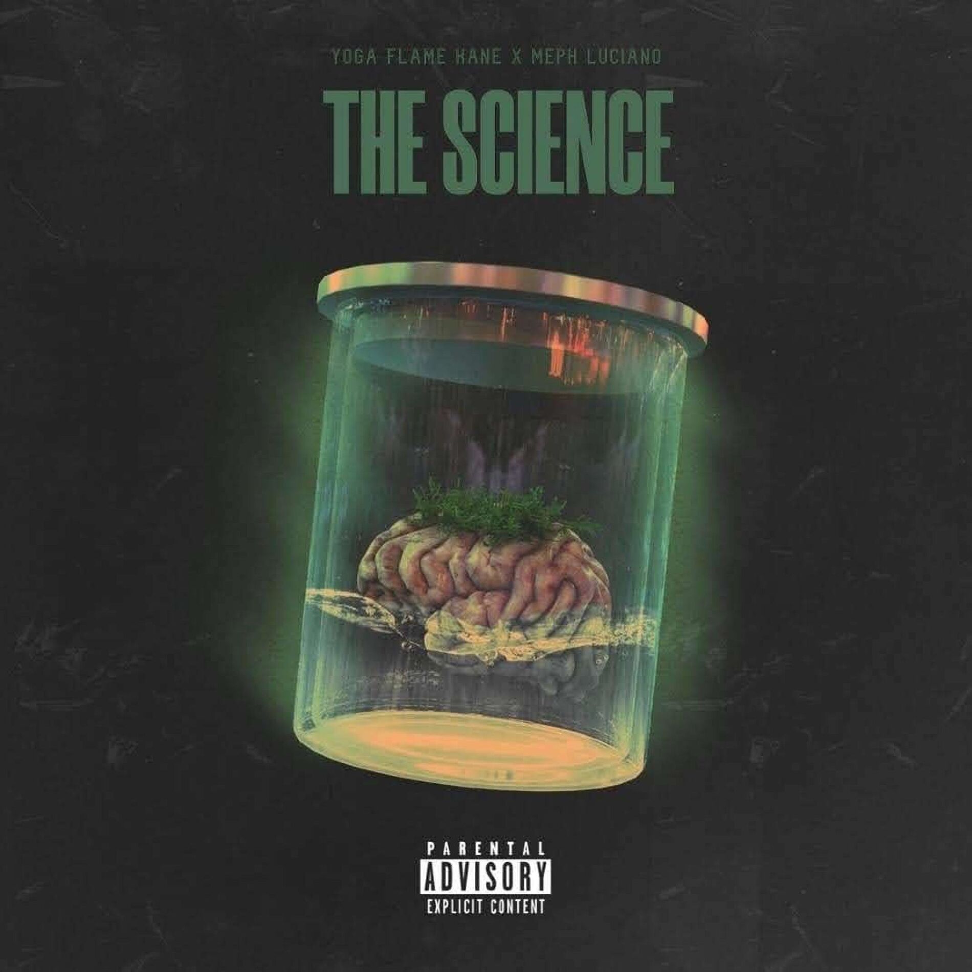 Album cover of The Science