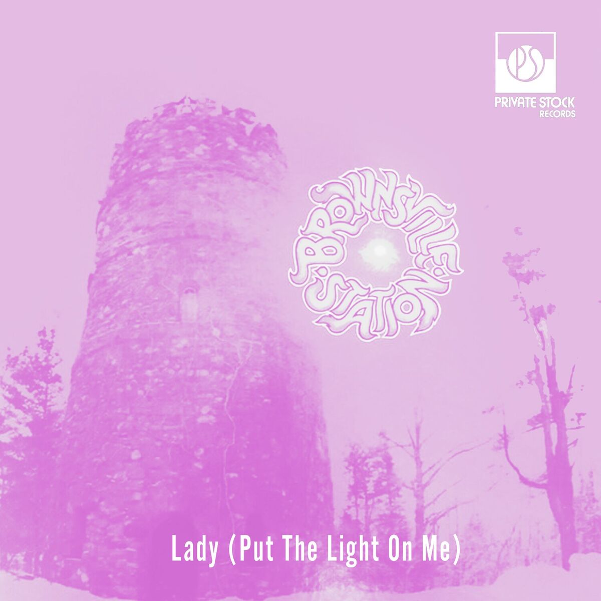Album cover of Lady (Put The Light On Me)