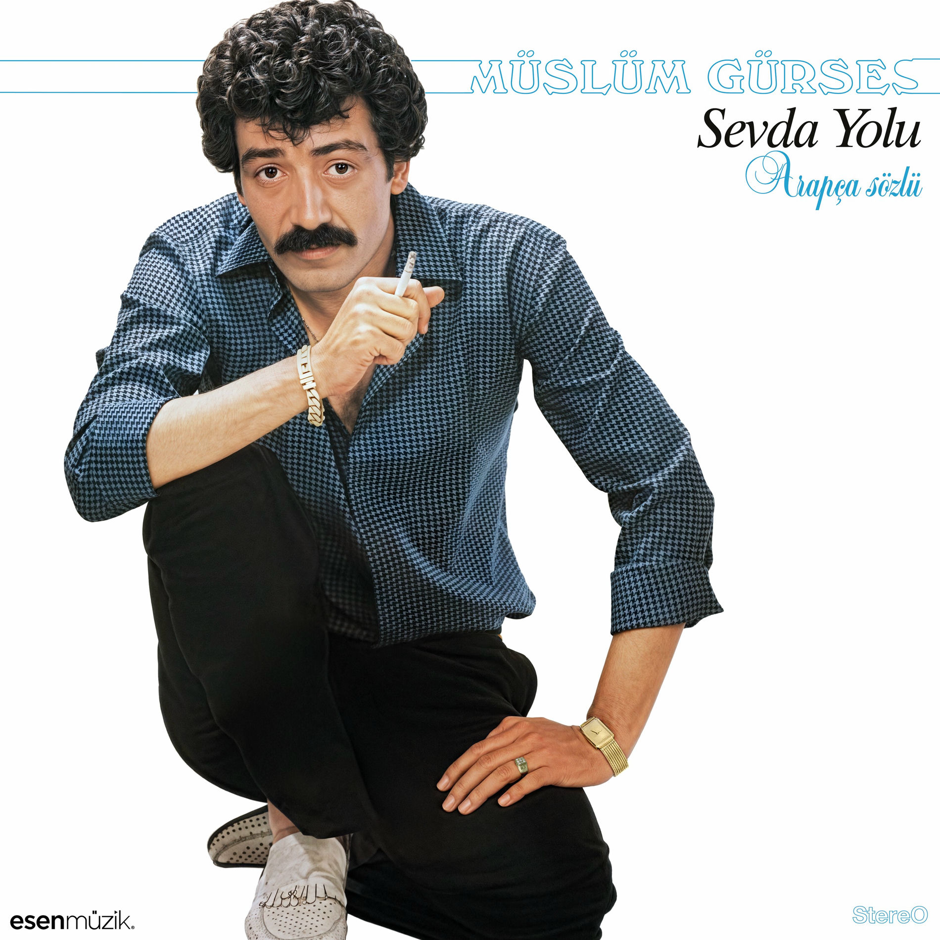 Album cover of Sevda Yolu